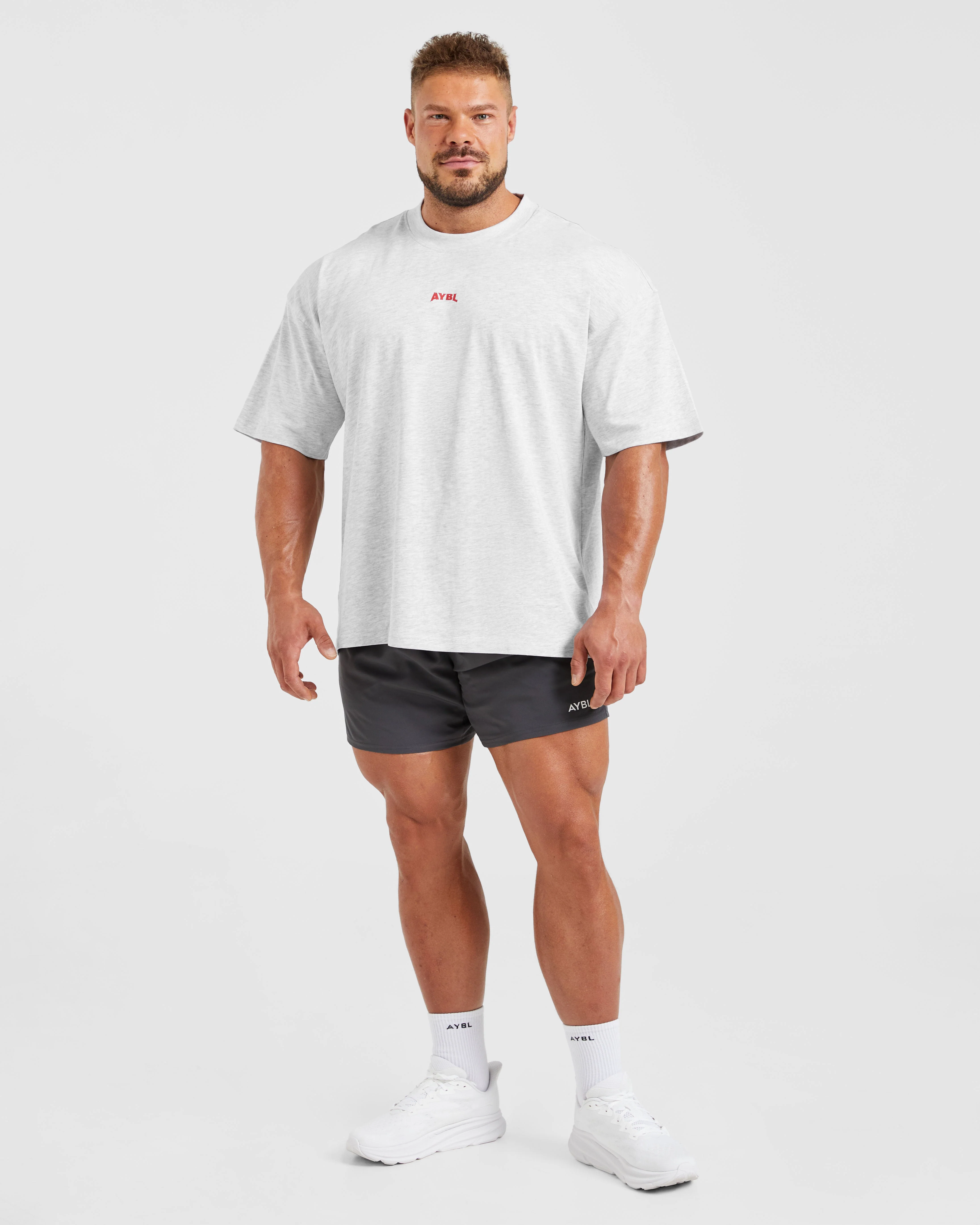 Wesley Vissers X Beyond Limits Oversized T Shirt - Grey Marl - Image 3